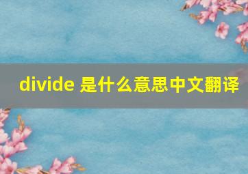 divide 是什么意思中文翻译